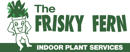 The Frisky Fern