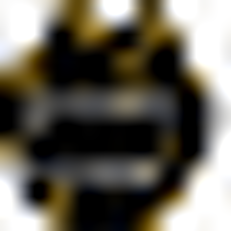 Wayne State Wildcats