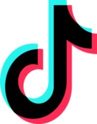 Tiktok Icon