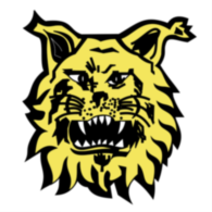 Footbal Club Ilves De Tampere