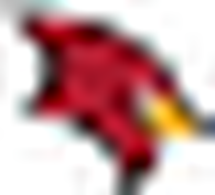 Saginaw Valley State Cardinals