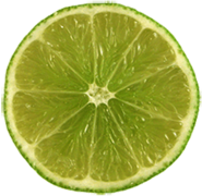 Lime Circle Slice