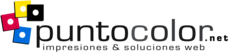 Punto Color