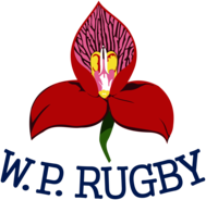Western Province Rugby 