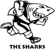 Sharks Rugby 