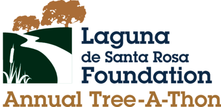 Laguna Annual Tree-A-Thon