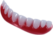 False Teeth Shiny Lower Denture