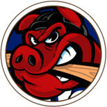 Rockford IceHogs Round 