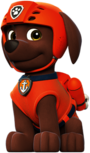 Paw Patrol Zuma