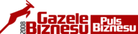 Gazele Biznesu 2008