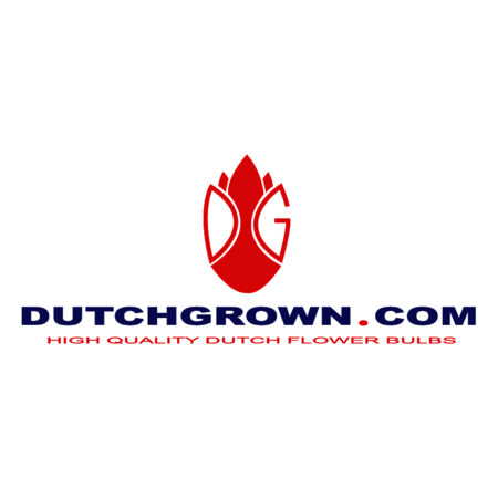 dutchgrown.com