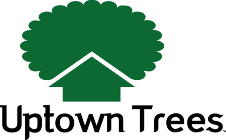 Uptown trees
