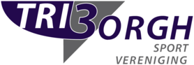 SV Triborgh