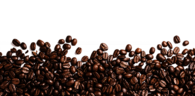 Coffee Beans Footer