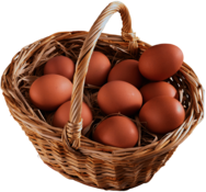 Basket Full Of Eggs