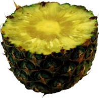 Pineapple Top Sliced