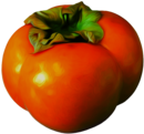 Persimmon
