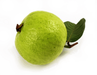 Guava Single