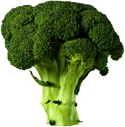 Broccoli Tree