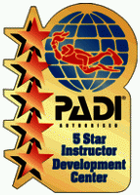 Padi