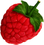 Large Raspberry