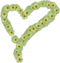 Heart Made Of White Flowers