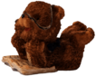 Reading Bear Toy