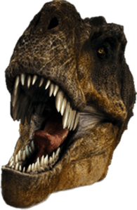 T-Rex Head
