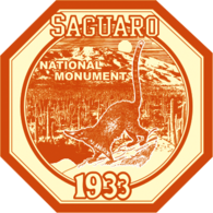 Saguaro National Park Vintage