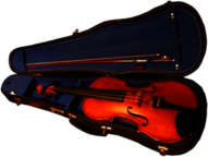 Violin In Its Case