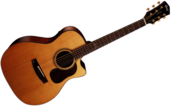 Electric Acoustic Guitar