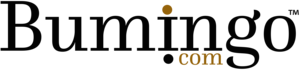 Bumingo
