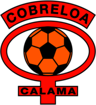 Club de Deportes Cobreloa de Calama