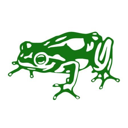 Frog Design