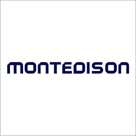 Montedison