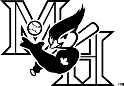 Medicine Hat Blue Jays