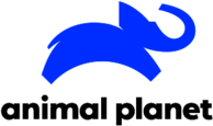 Animal Planet (2019)