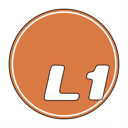 L1