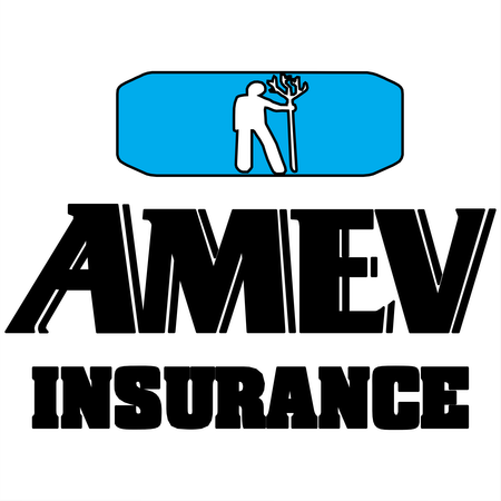 Amev Insurance