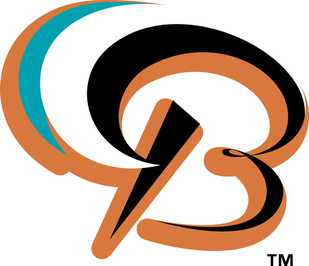 Bowie Baysox 58221