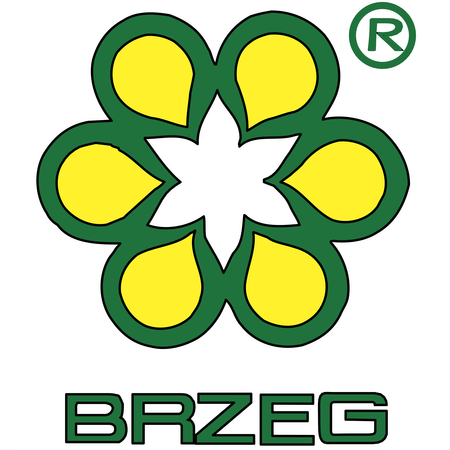 Brzeg
