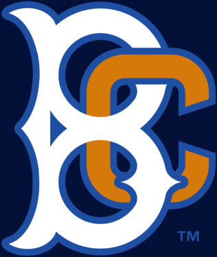 Brooklyn Cyclones 58688