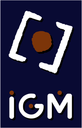 IGM