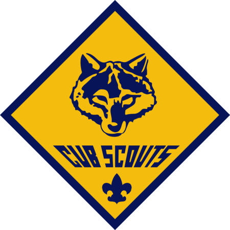 Cub Scouts