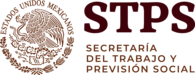 SECRETARÍA DEL TRABAJO Y PREVISIÓN SOCIAL 2019
