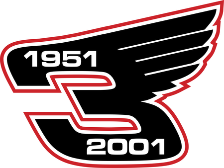 Dale Earnhardt Wings