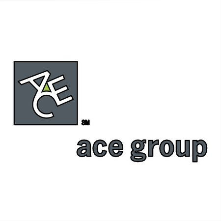 ACE Group 60272