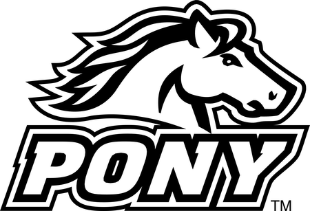 Pony
