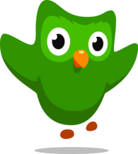 Duolingo symbol icon
