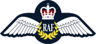 RAF Tunic Badge